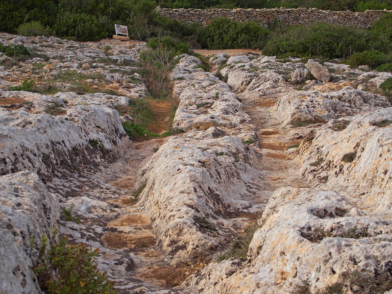 Clapham Junction, Cart Ruts
        (Prehistoric)